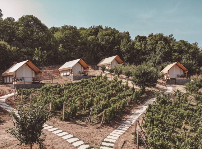 Lala Vineyard Glamping Resort (Sremski Karlovci, Srbsko)